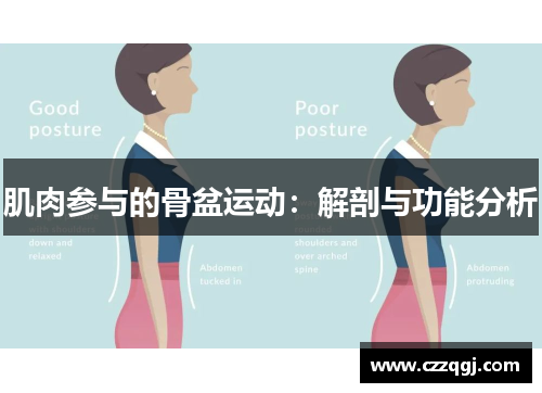 肌肉参与的骨盆运动：解剖与功能分析